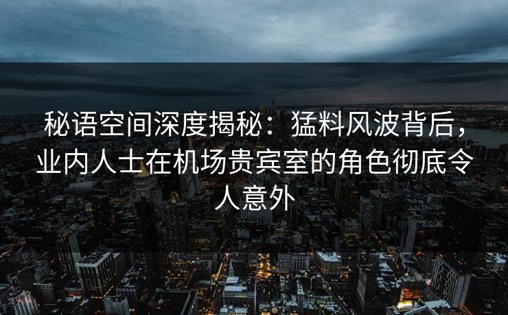 秘语空间深度揭秘：猛料风波背后，业内人士在机场贵宾室的角色彻底令人意外